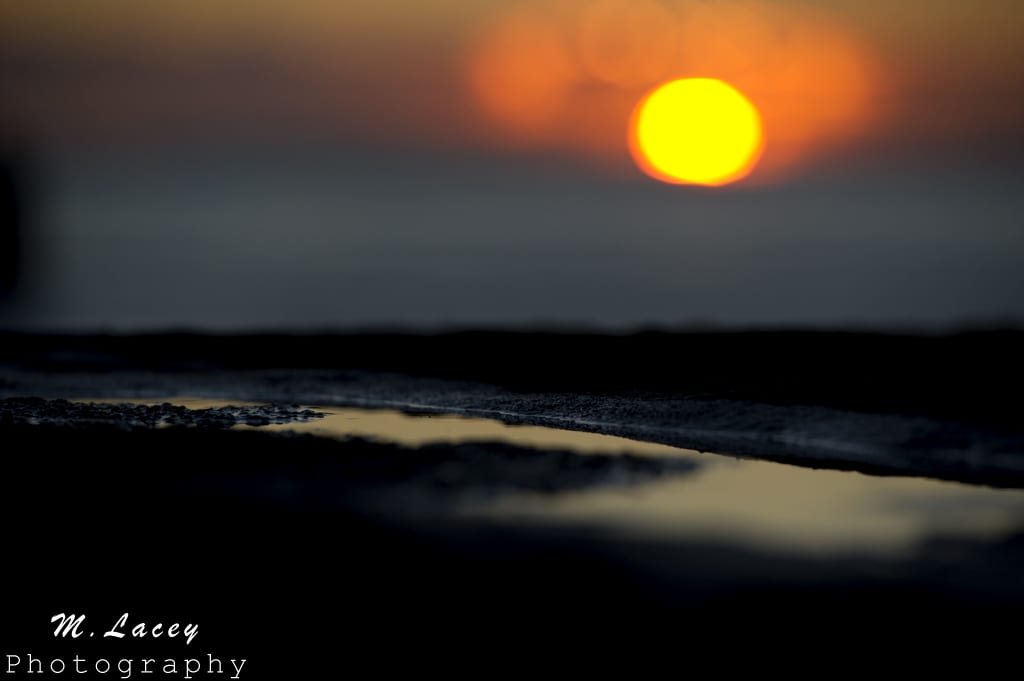 DSC_8509