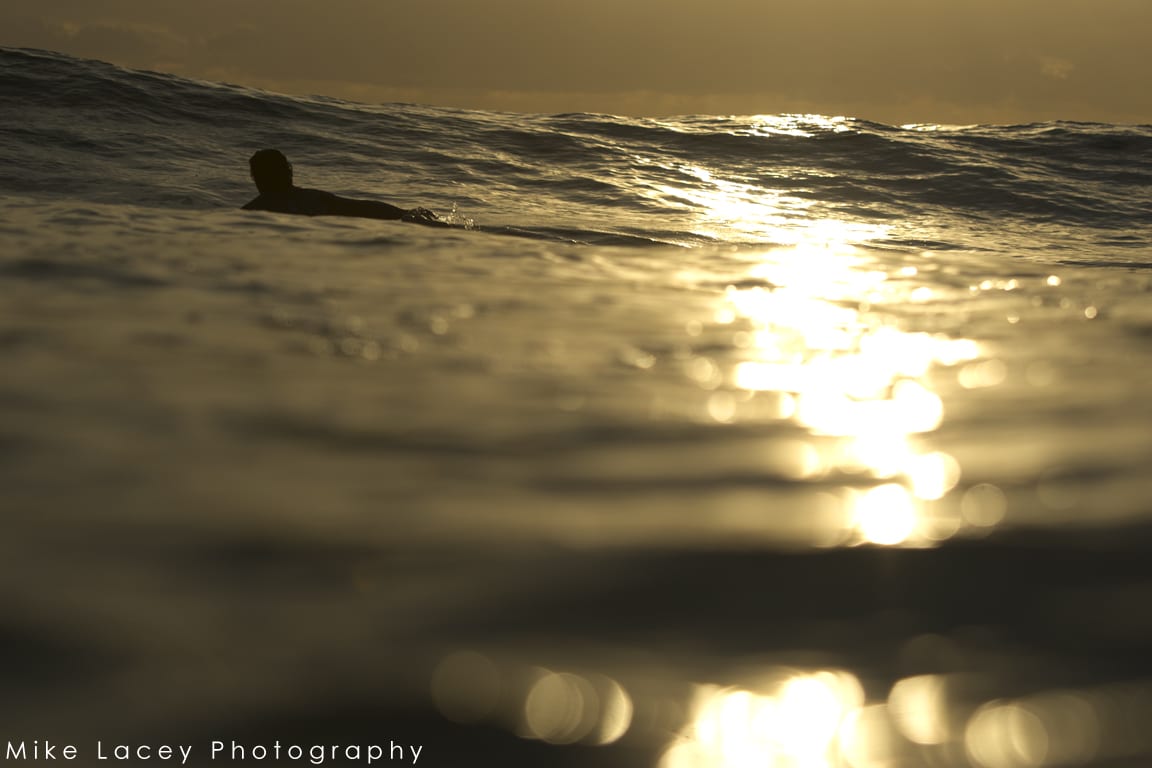 DSC_6525web