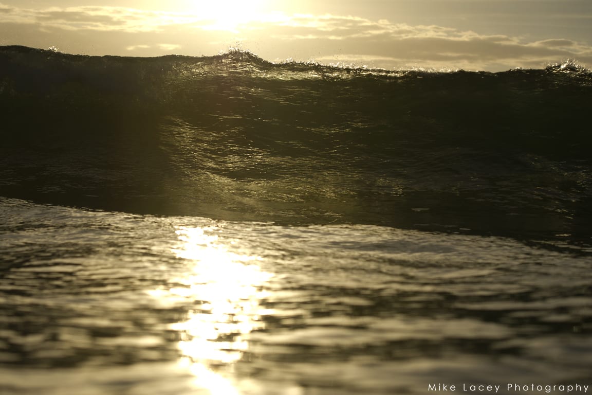 DSC_6558web