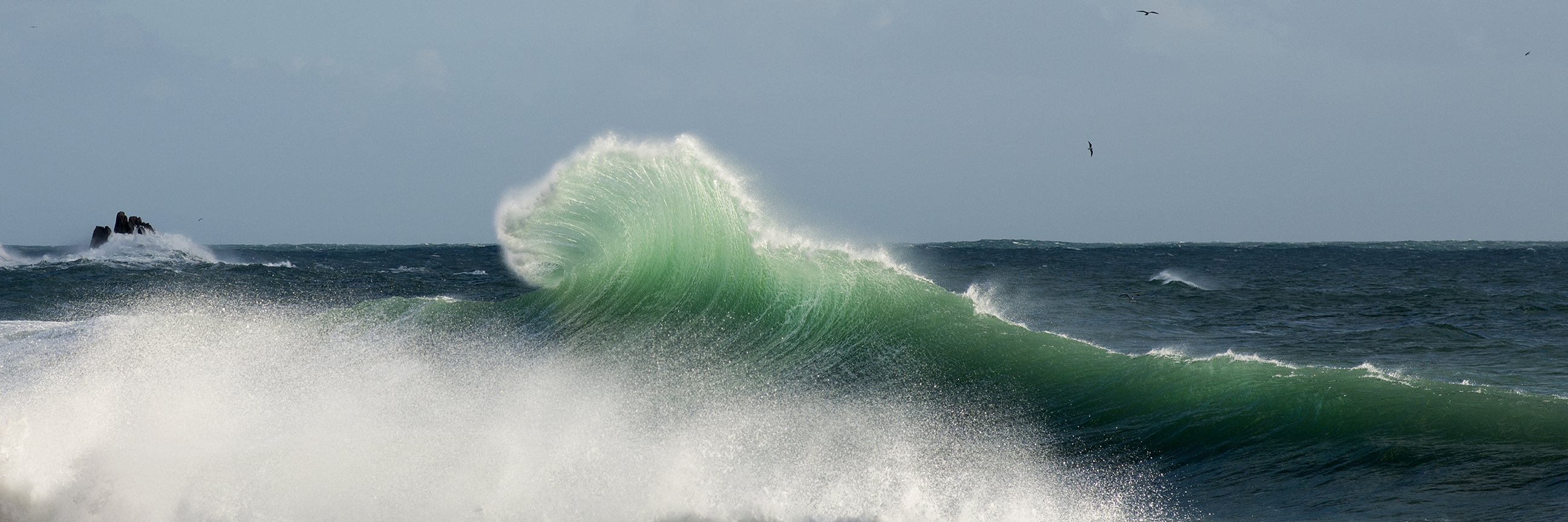 backwash12x36web