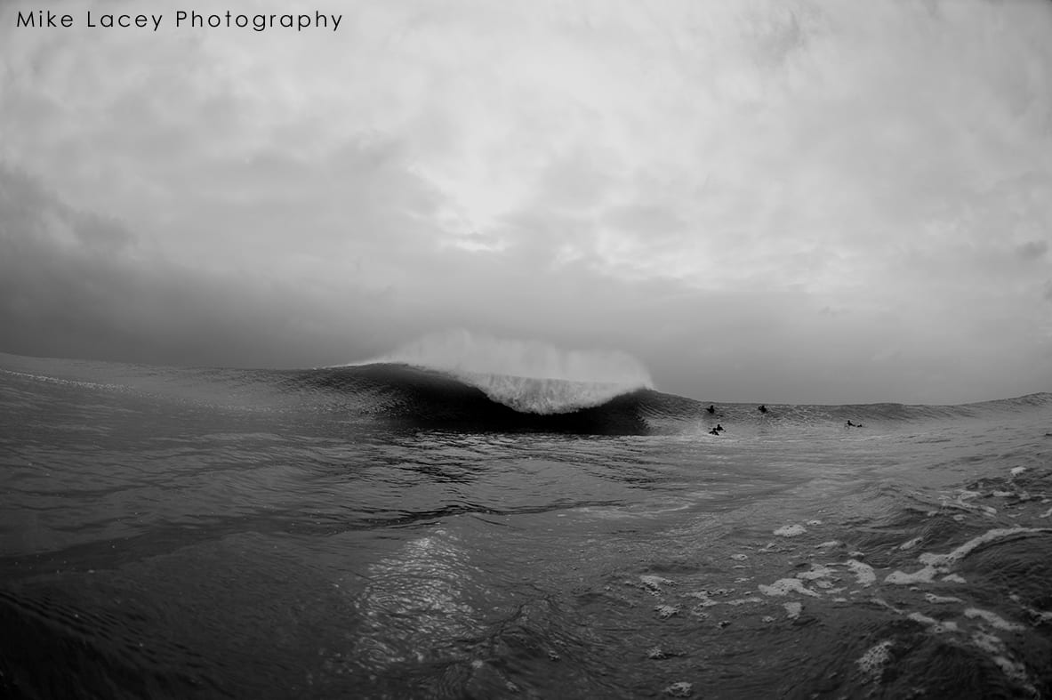 DSC_4502b
