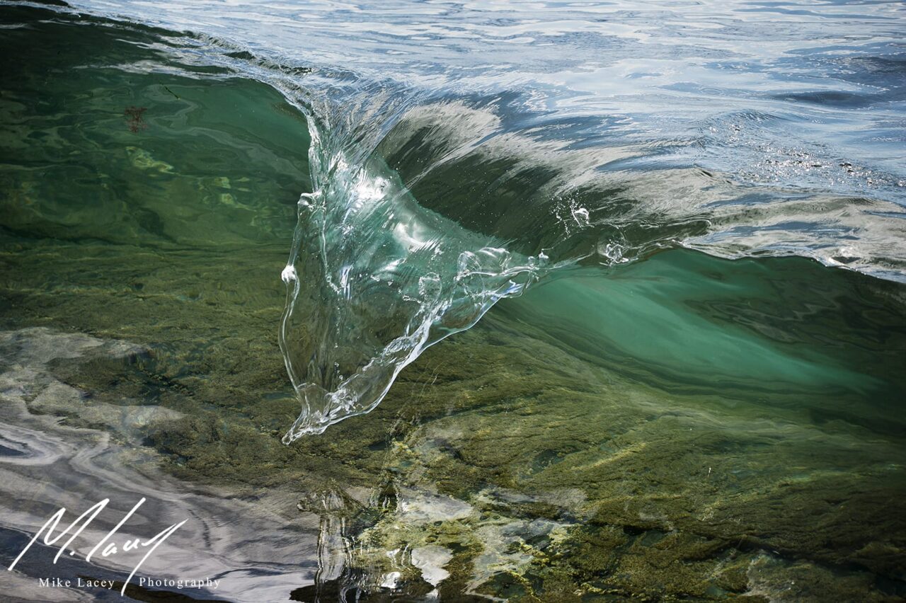 CLARITY