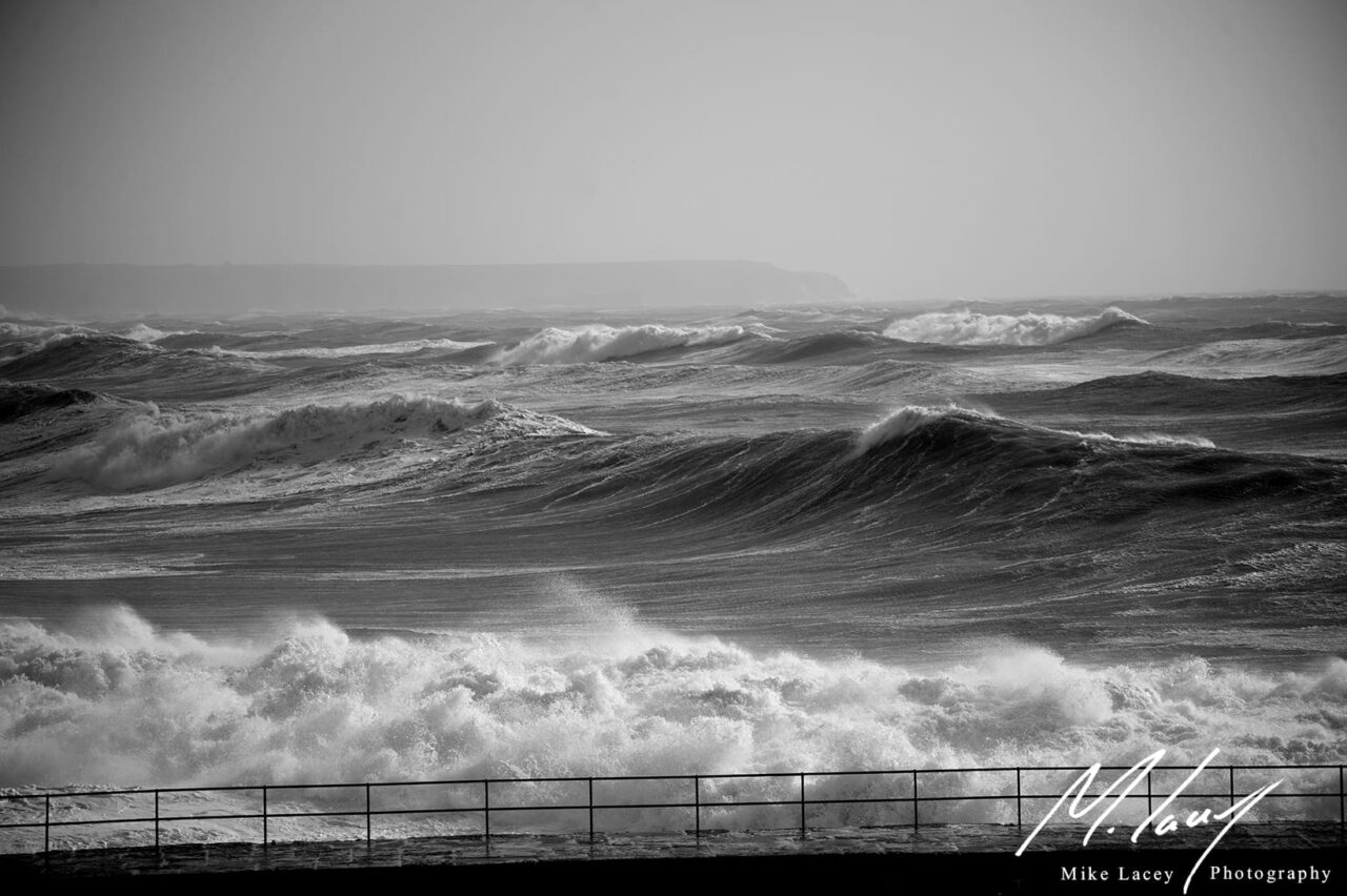 Ophelia Swell