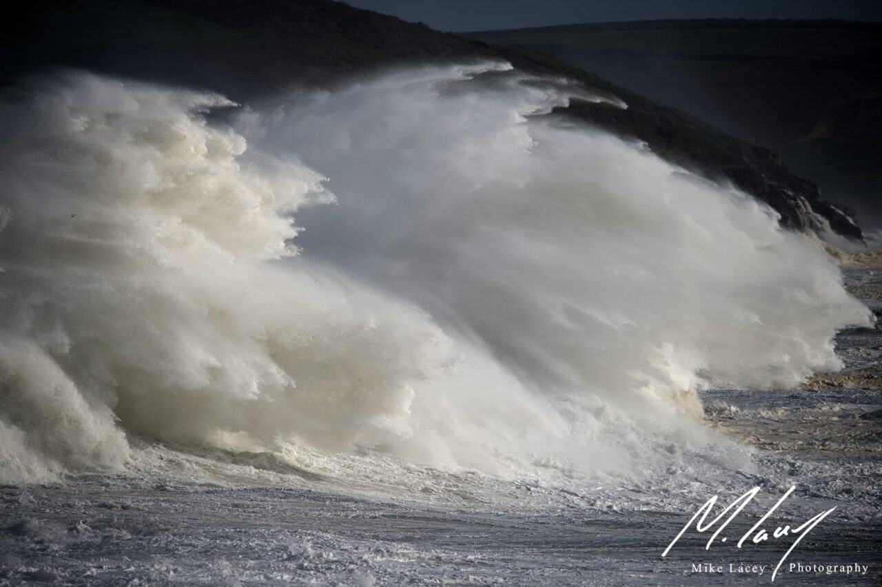 Ophelia Backwash
