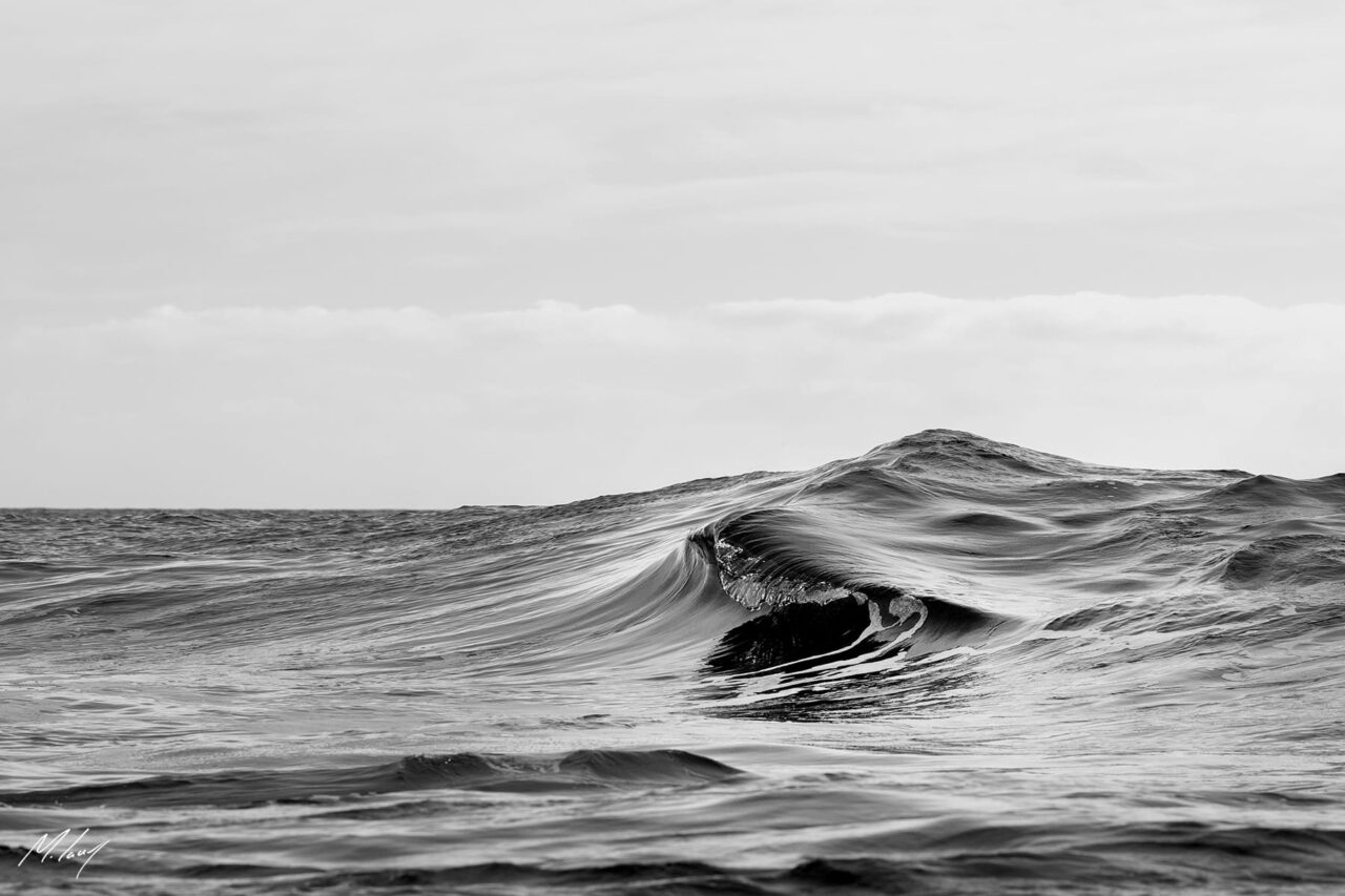 Ocean Fold