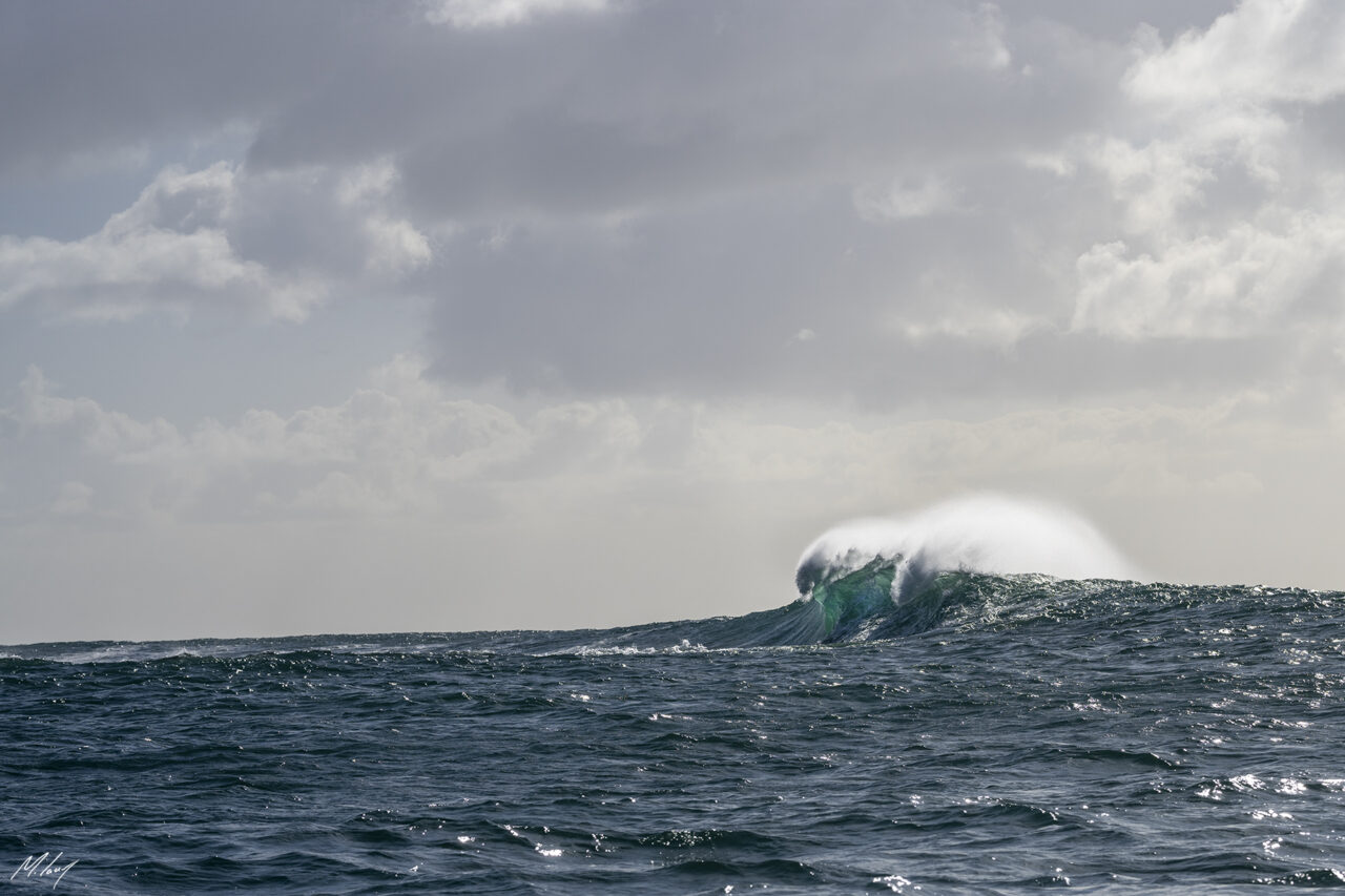 Ocean Dreams