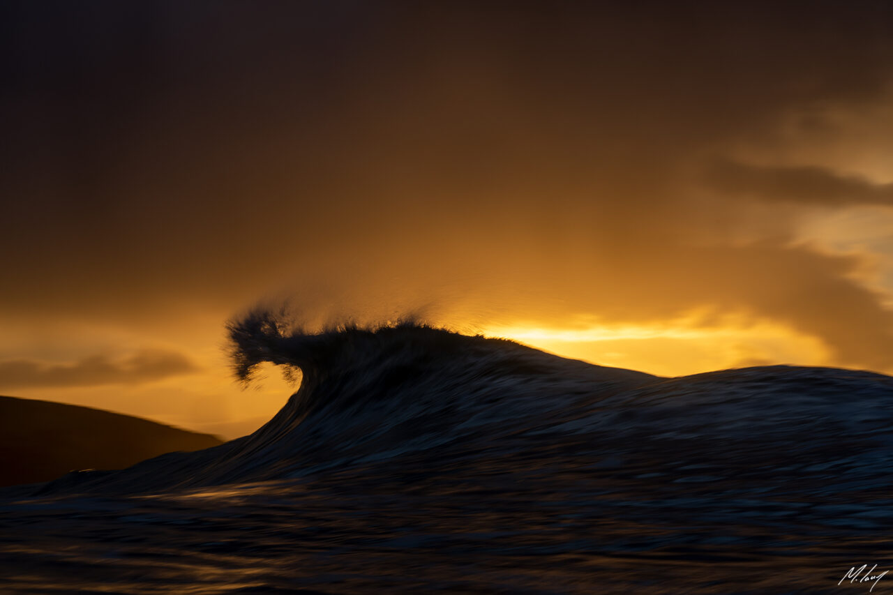 WINTERSWELL