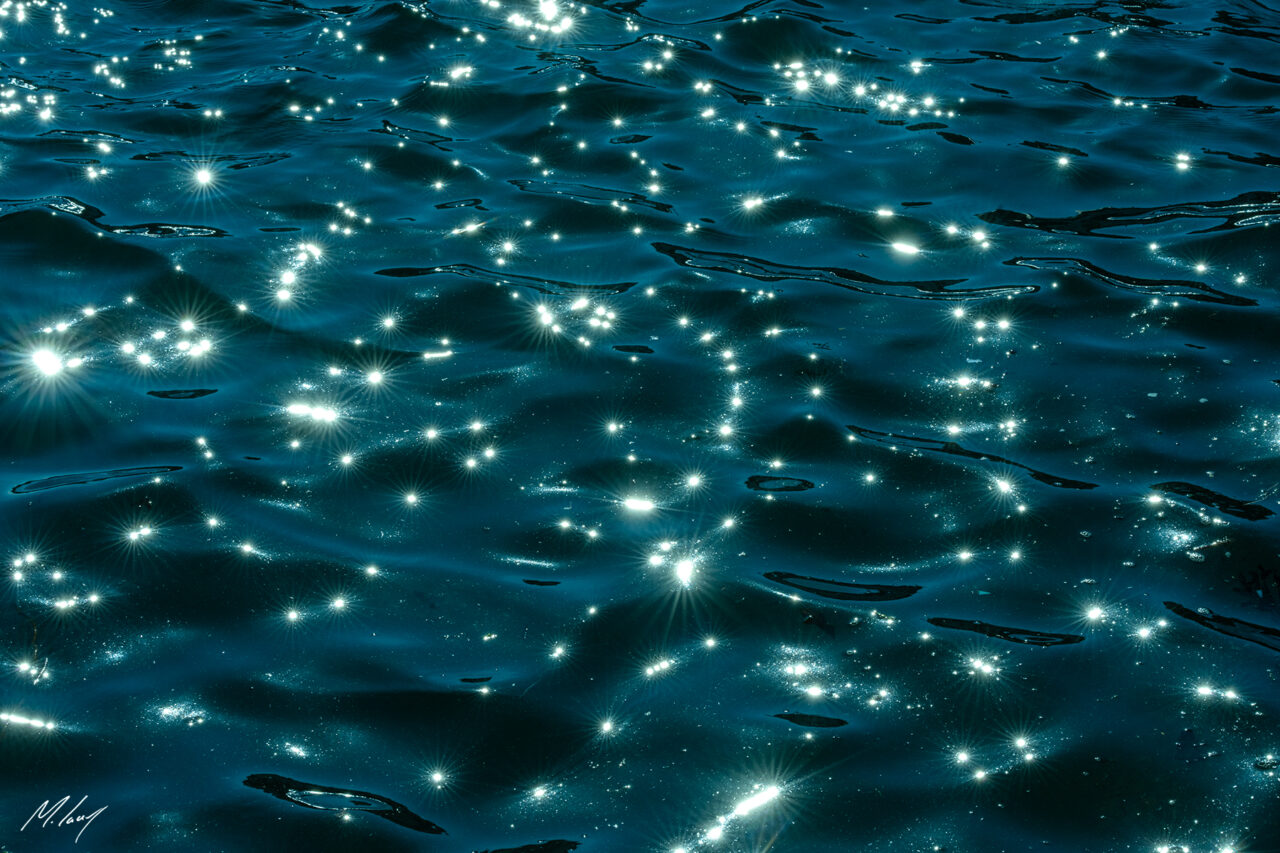 Cosmos