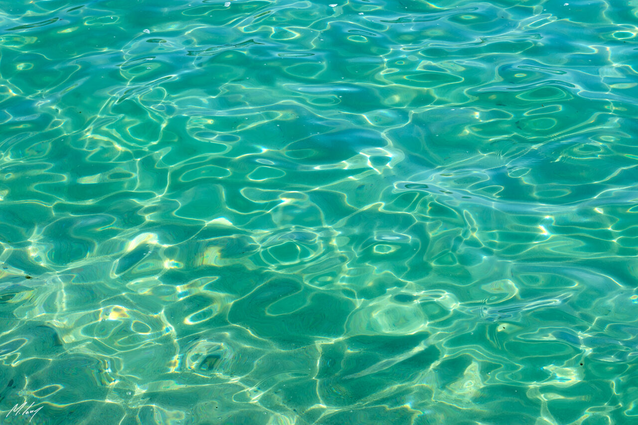 Aquatic