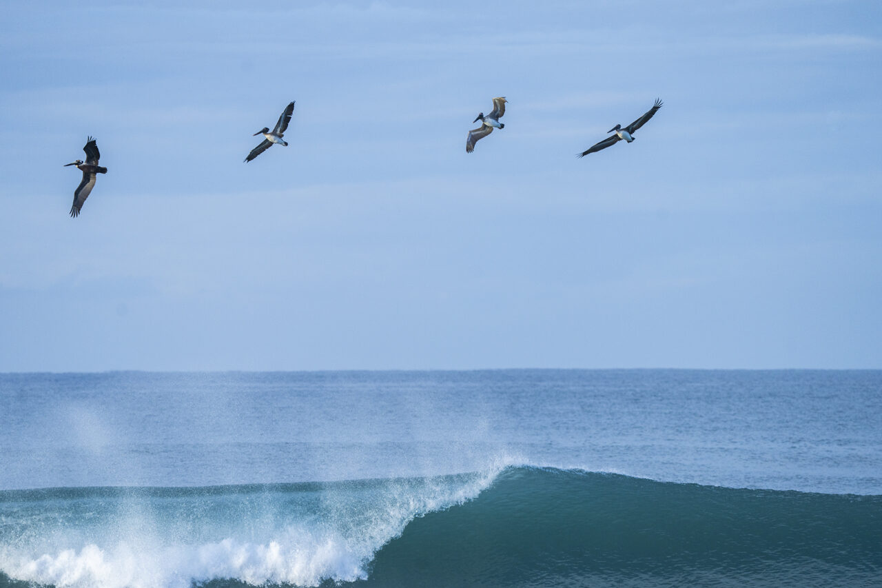 Flight